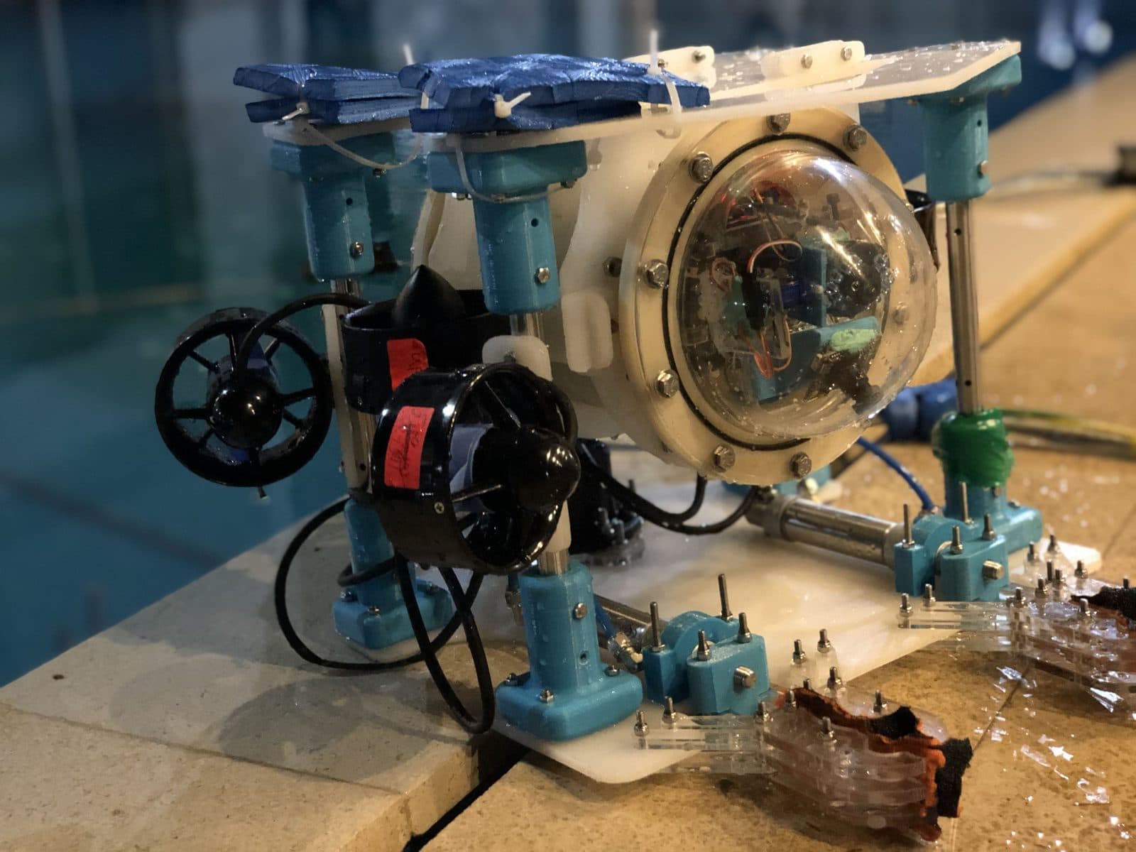 Blue Marlin beside a pool, with blue supports, a clear domed enclosure, and black thrusters